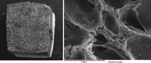 Struttura bioattiva integrata core-shell per la rigenerazione di tessuti